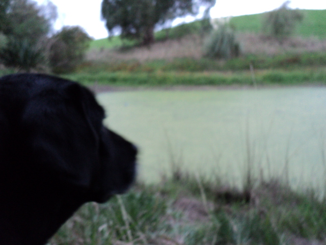 Name:  picture 1681.jpg
Views: 318
Size:  165.2 KB