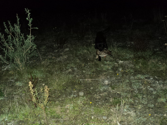 Name:  picture 1679.jpg
Views: 274
Size:  164.3 KB