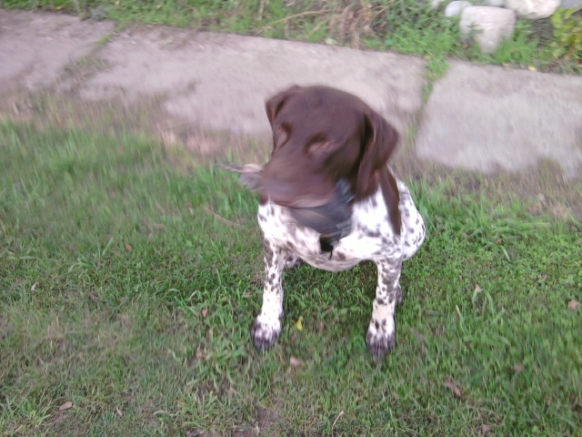 Name:  Photo017.jpg
Views: 475
Size:  151.3 KB