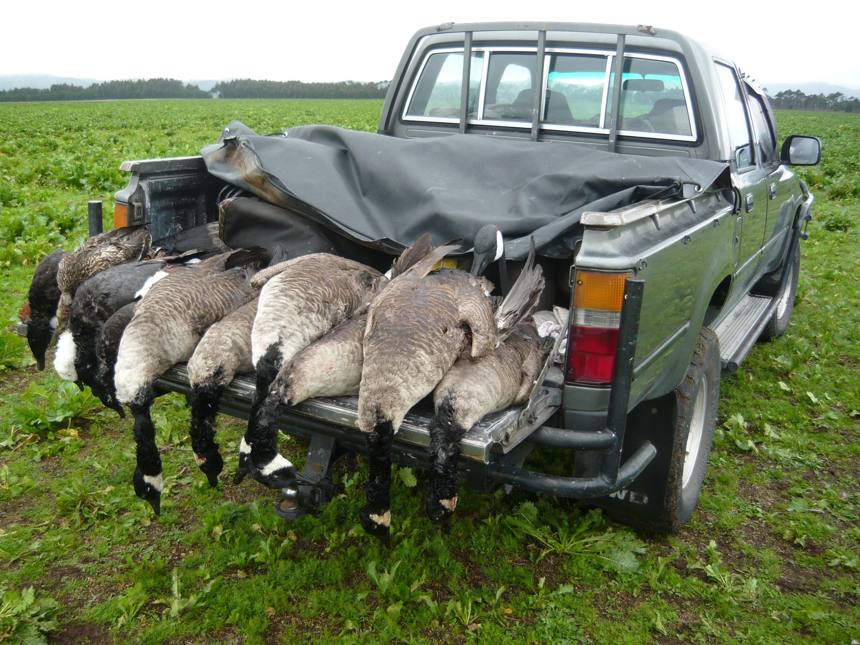 Name:  shooting 2013 015.jpg
Views: 395
Size:  1,009.5 KB