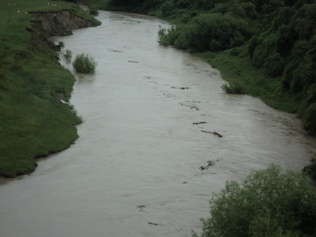 Name:  picture 01 2200.jpg
Views: 181
Size:  164.5 KB