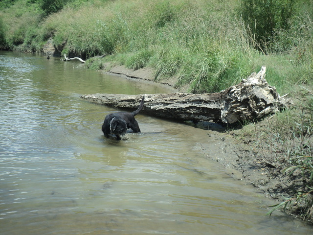 Name:  picture 01 2404.jpg
Views: 322
Size:  163.7 KB