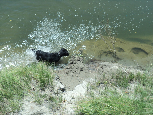 Name:  picture 01 2476.jpg
Views: 194
Size:  162.7 KB