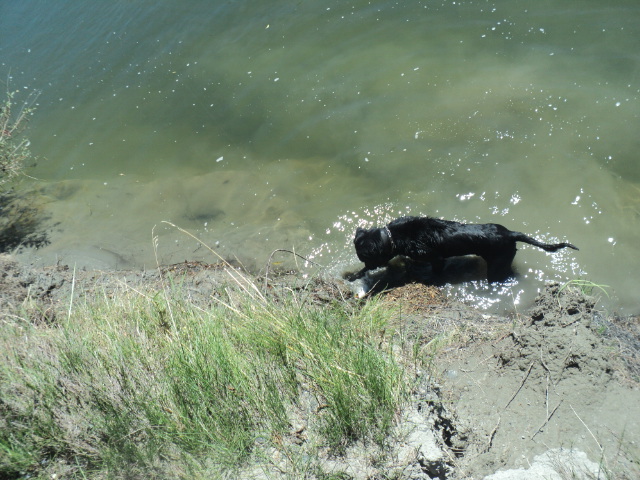 Name:  picture 01 2477.jpg
Views: 196
Size:  164.6 KB