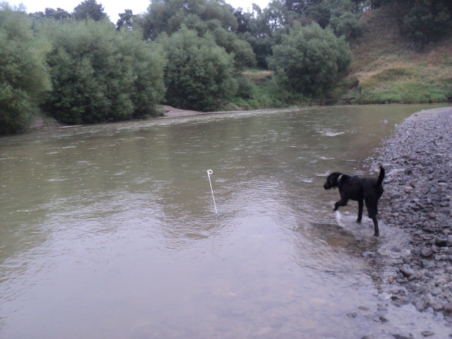 Name:  picture 01 2595.jpg
Views: 219
Size:  164.7 KB