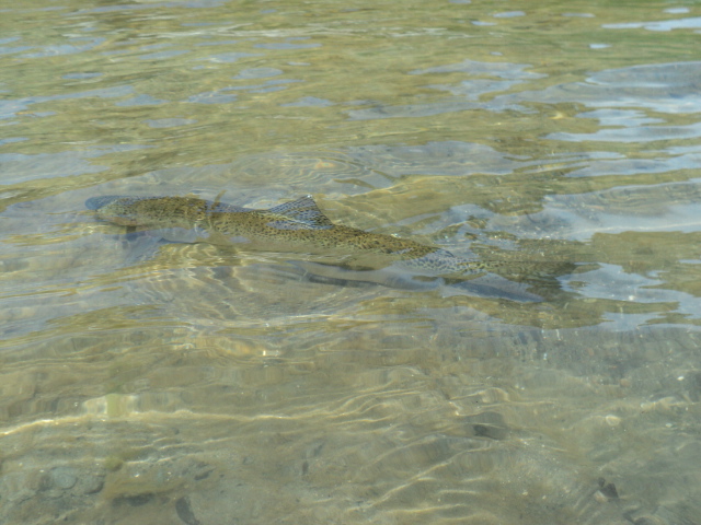 Name:  picture 01 2615.jpg
Views: 216
Size:  163.7 KB