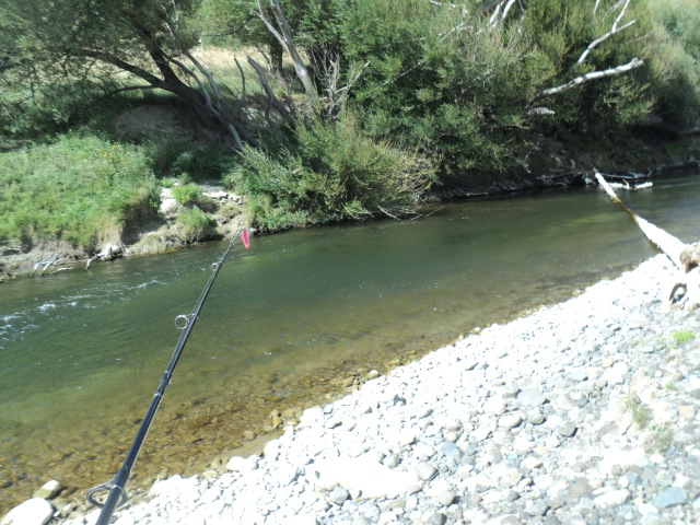 Name:  picture 01 2634.jpg
Views: 176
Size:  163.8 KB