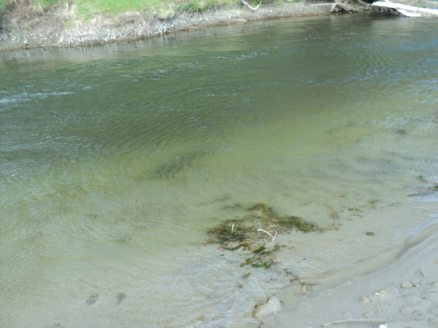 Name:  picture 01 2635.jpg
Views: 160
Size:  163.0 KB