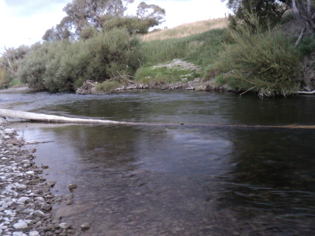 Name:  picture 01 2648.jpg
Views: 162
Size:  164.3 KB