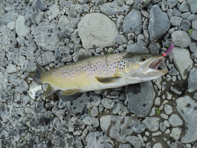 Name:  picture 01 2654.jpg
Views: 149
Size:  163.7 KB