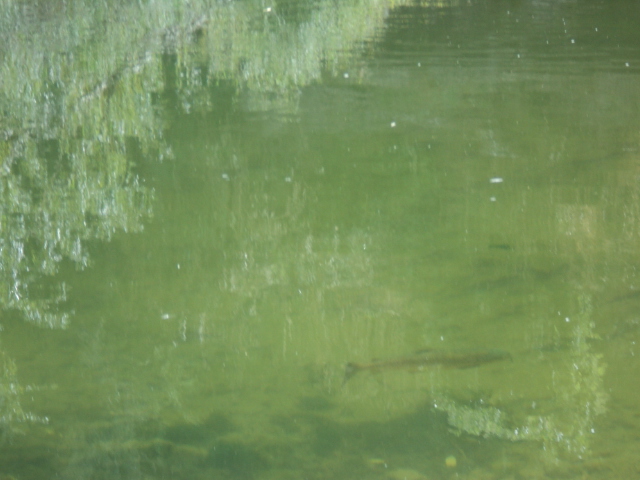 Name:  picture 01 2821.jpg
Views: 138
Size:  162.9 KB
