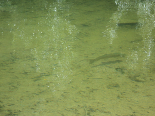 Name:  picture 01 2820.jpg
Views: 140
Size:  164.9 KB