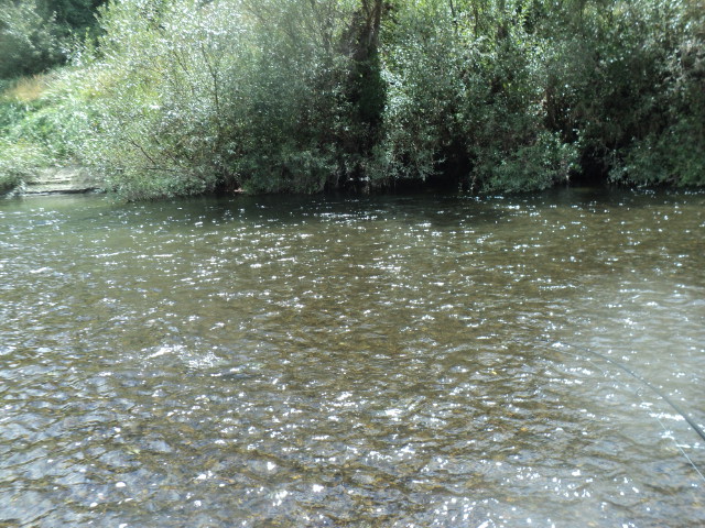 Name:  picture 01 2822.jpg
Views: 135
Size:  165.1 KB