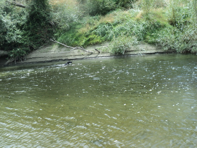 Name:  picture 01 2827.jpg
Views: 151
Size:  163.5 KB