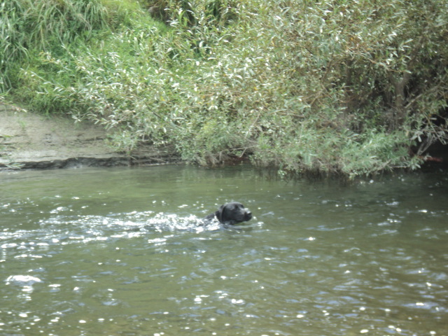 Name:  picture 01 2828.jpg
Views: 139
Size:  165.2 KB