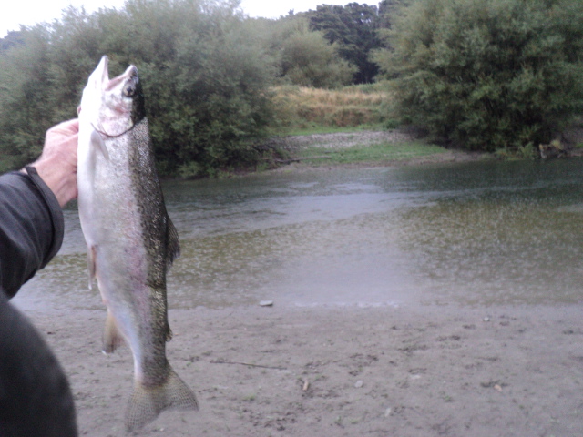 Name:  picture 01 2881.jpg
Views: 198
Size:  164.9 KB