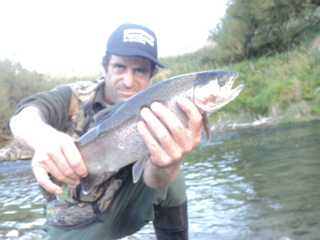 Name:  picture 01 2921.jpg
Views: 152
Size:  165.2 KB