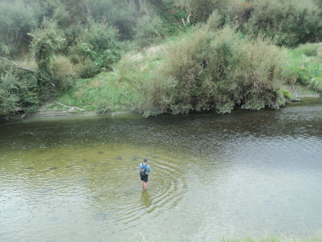 Name:  picture 01 3006.jpg
Views: 295
Size:  164.0 KB