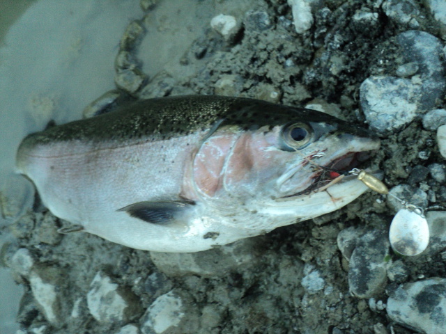 Name:  picture 01 3057.jpg
Views: 213
Size:  163.6 KB