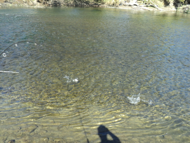 Name:  picture 01 3177.jpg
Views: 210
Size:  164.5 KB