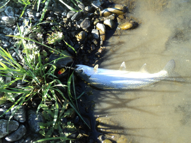 Name:  picture 01 3183.jpg
Views: 213
Size:  165.1 KB