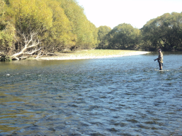 Name:  picture 01 3185.jpg
Views: 208
Size:  164.9 KB