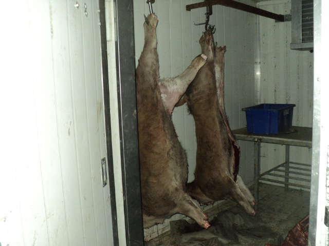 Name:  picture 01 3197.jpg
Views: 208
Size:  161.6 KB