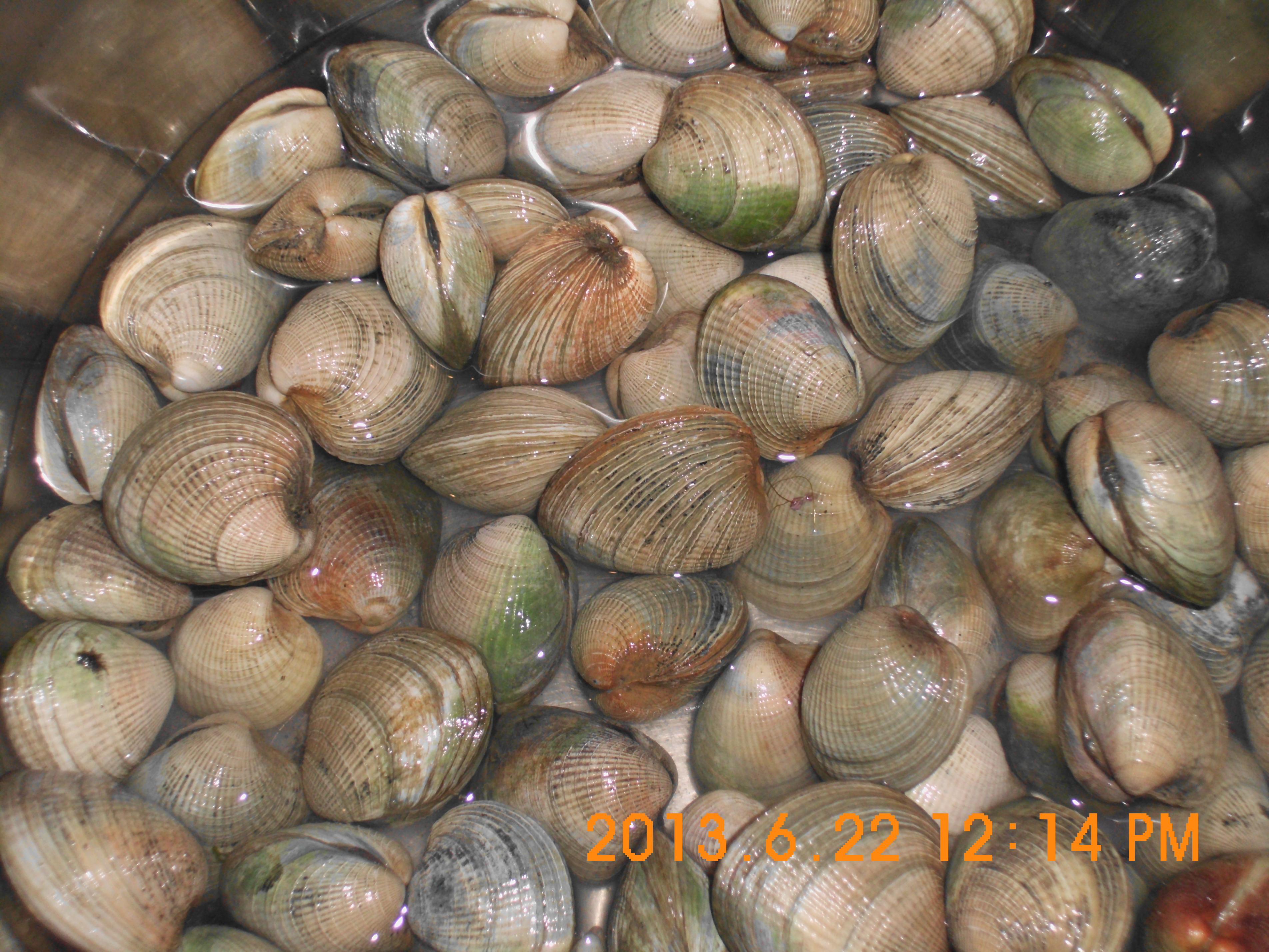 Name:  SANY0075.jpg
Views: 584
Size:  1.03 MB