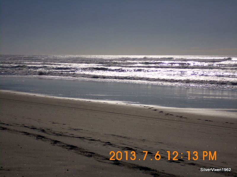Name:  03-SANY0003.JPG
Views: 401
Size:  193.1 KB