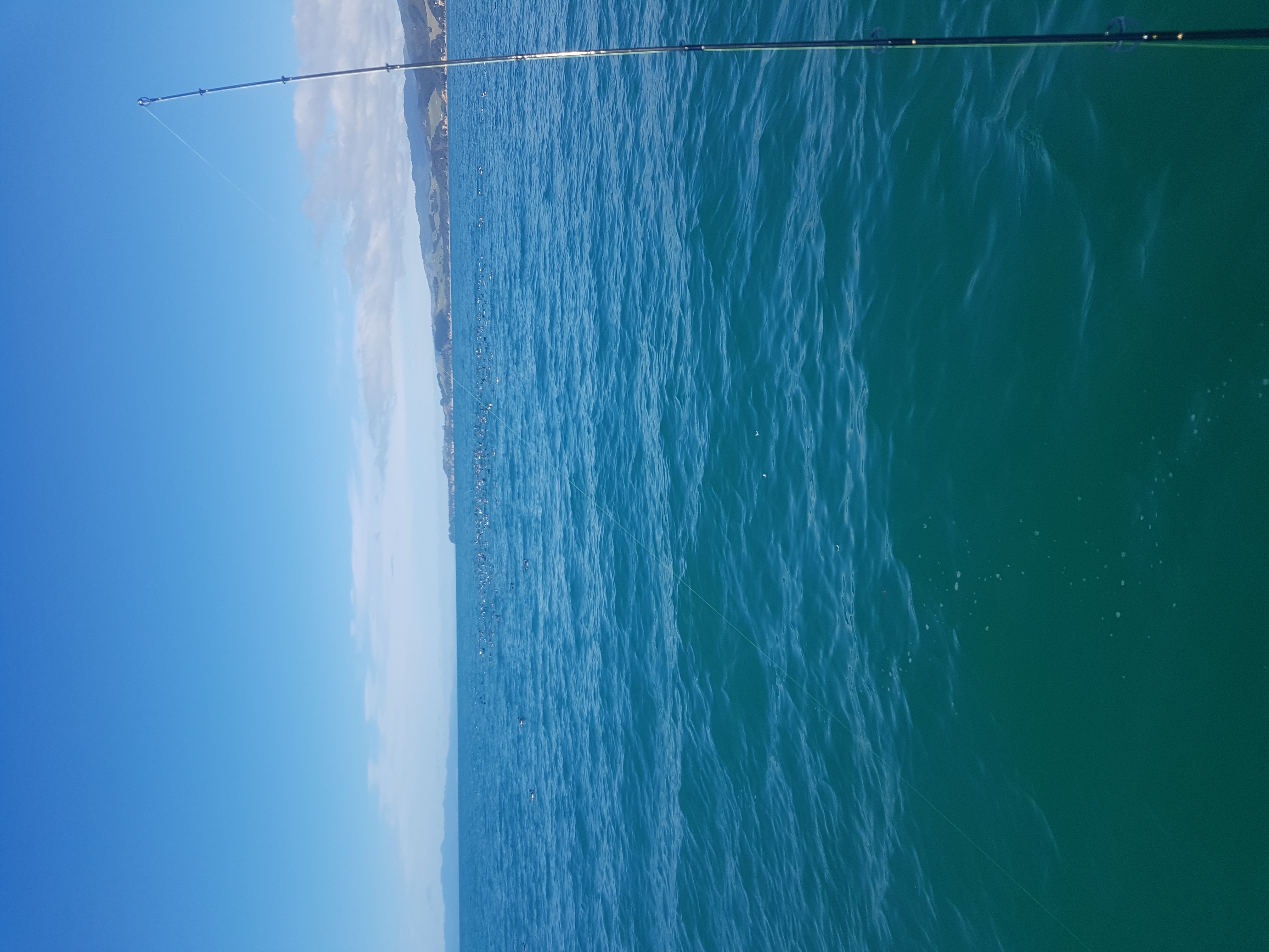 Name:  20190902_121837.jpg
Views: 388
Size:  2.78 MB