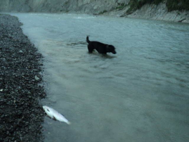 Name:  picture 01 4253.jpg
Views: 208
Size:  165.2 KB