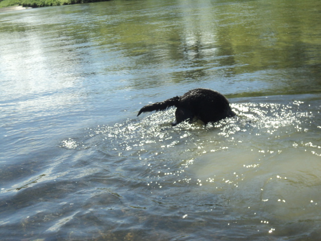 Name:  picture 01 4270.jpg
Views: 203
Size:  163.4 KB