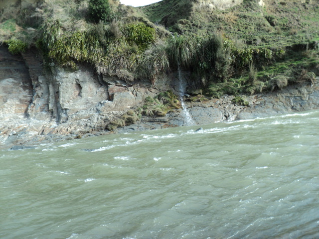 Name:  picture 2077.jpg
Views: 264
Size:  163.0 KB