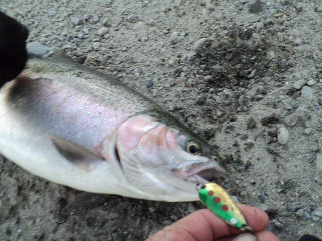 Name:  picture 01 4428.jpg
Views: 264
Size:  162.4 KB