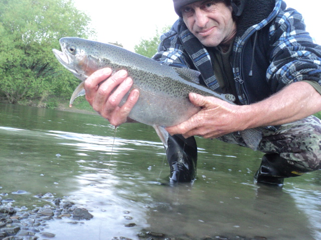 Name:  picture 01 4430.jpg
Views: 255
Size:  162.7 KB