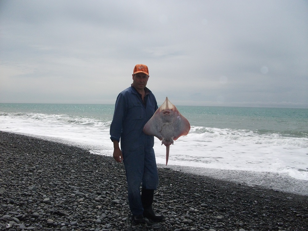 Name:  DSCF1046.JPG
Views: 260
Size:  316.7 KB
