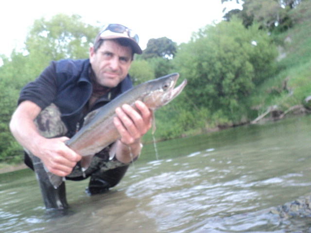 Name:  picture 01 4441.jpg
Views: 255
Size:  163.1 KB