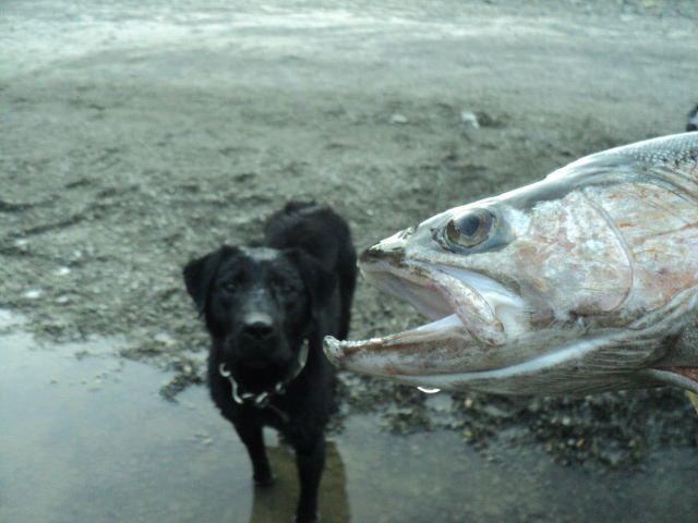 Name:  picture 01 4445.jpg
Views: 236
Size:  163.4 KB