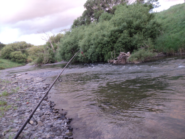 Name:  picture 01 4522.jpg
Views: 229
Size:  163.7 KB