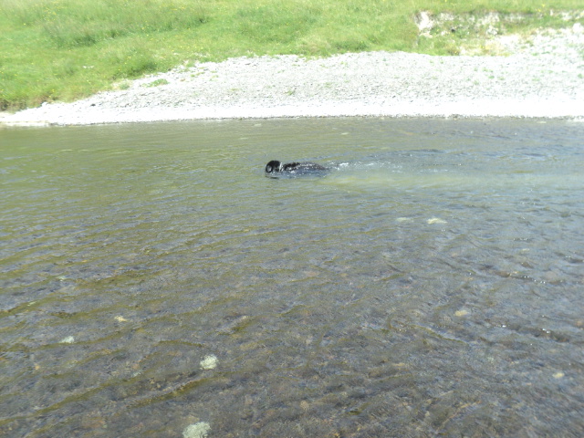 Name:  picture 01 4680.jpg
Views: 397
Size:  165.3 KB
