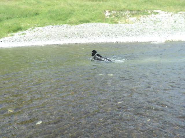 Name:  picture 01 4681.jpg
Views: 340
Size:  163.7 KB