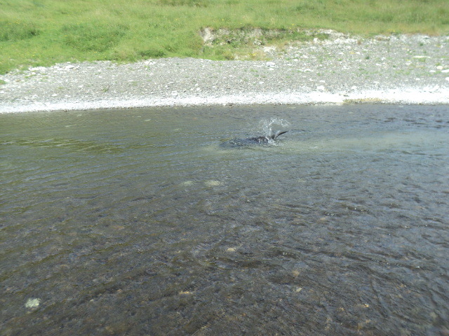 Name:  picture 01 4682.jpg
Views: 370
Size:  164.8 KB