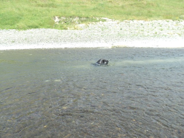 Name:  picture 01 4683.jpg
Views: 366
Size:  164.0 KB