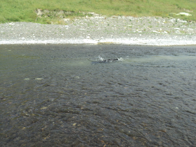 Name:  picture 01 4684.jpg
Views: 353
Size:  163.9 KB