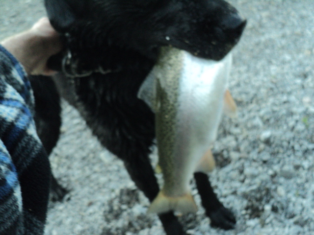 Name:  picture 01 4671.jpg
Views: 364
Size:  163.8 KB