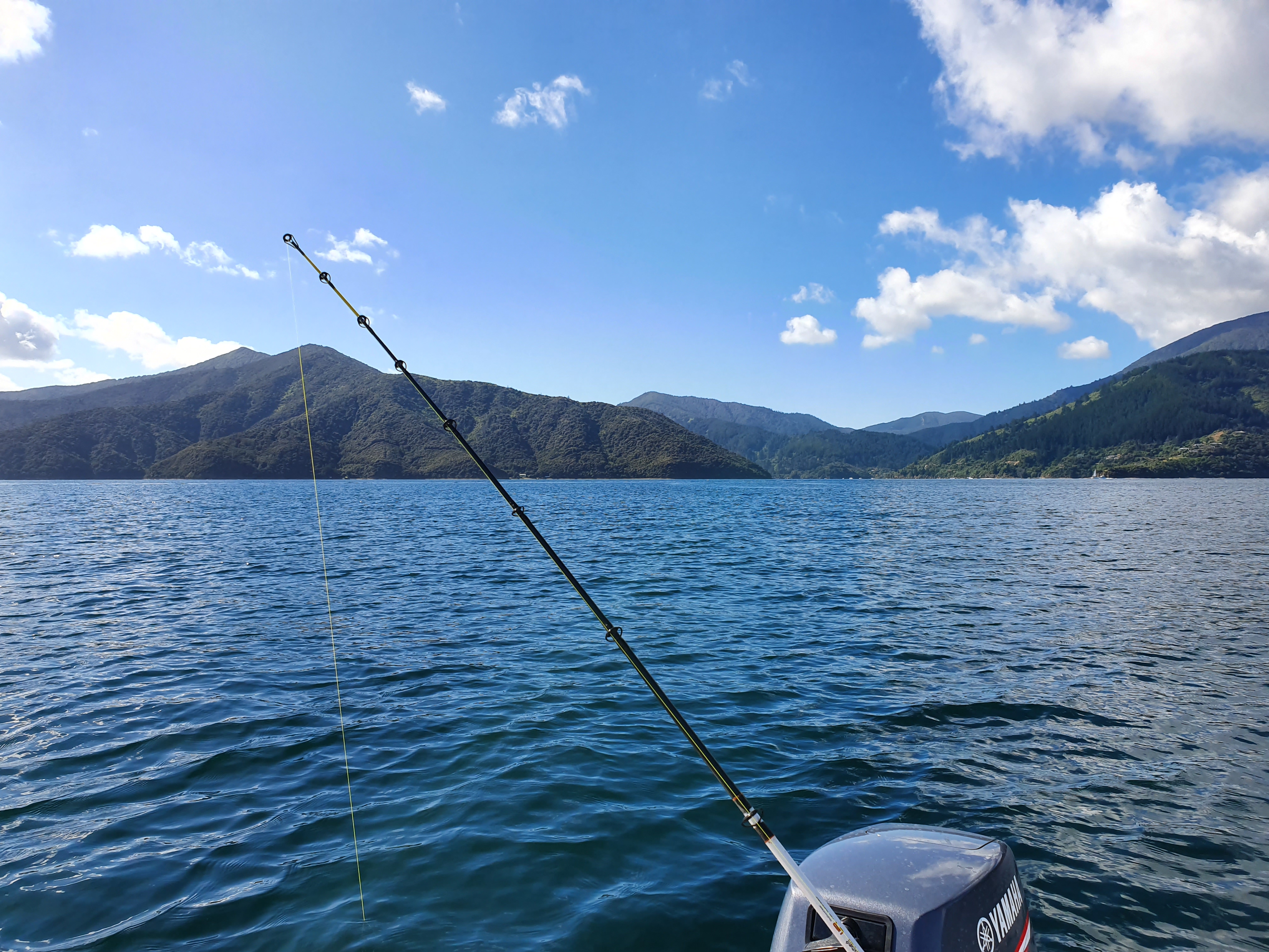 Name:  20191221_094020.jpg
Views: 887
Size:  2.94 MB