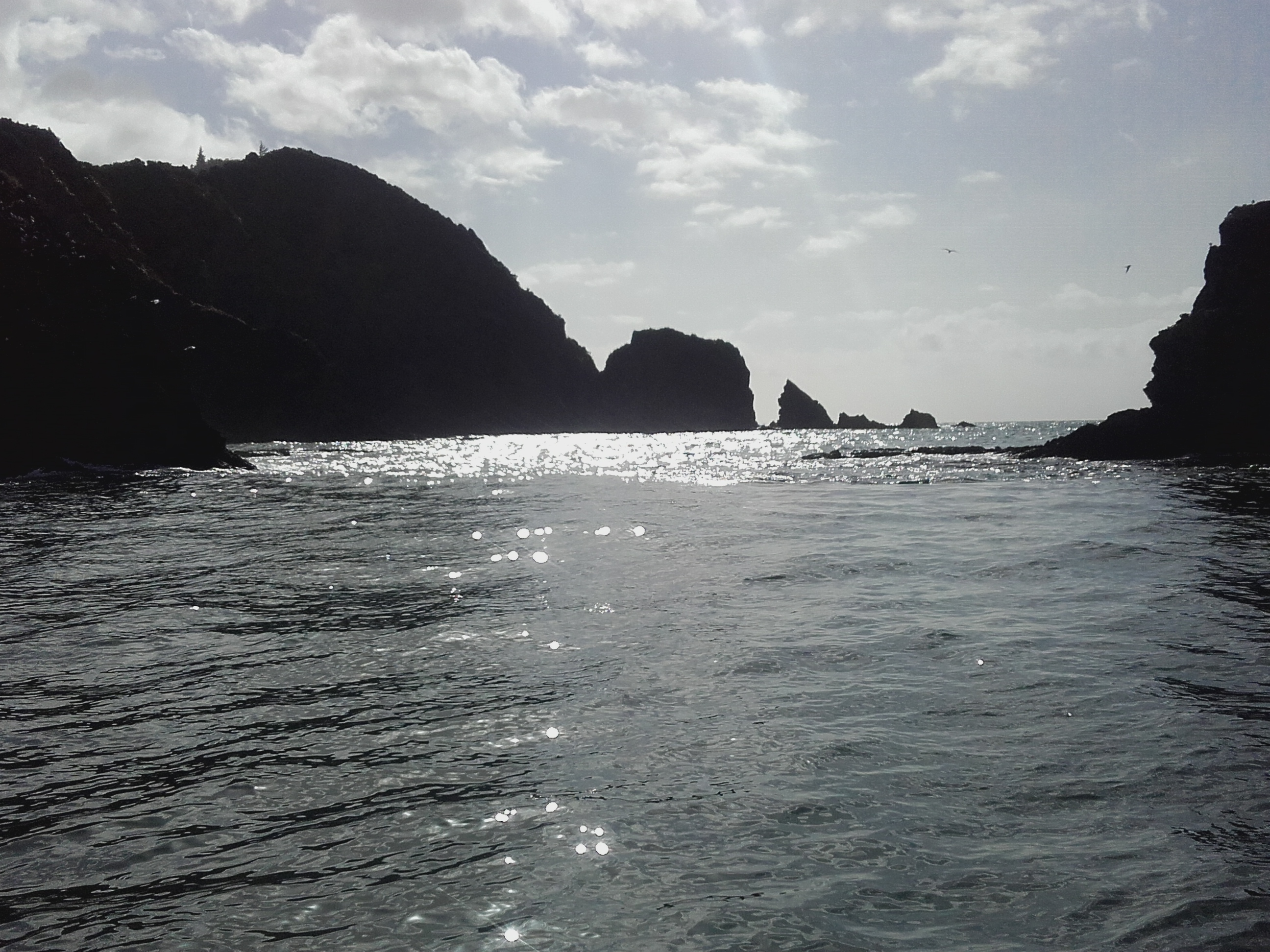 Name:  20191228_084735.jpg
Views: 295
Size:  1.88 MB