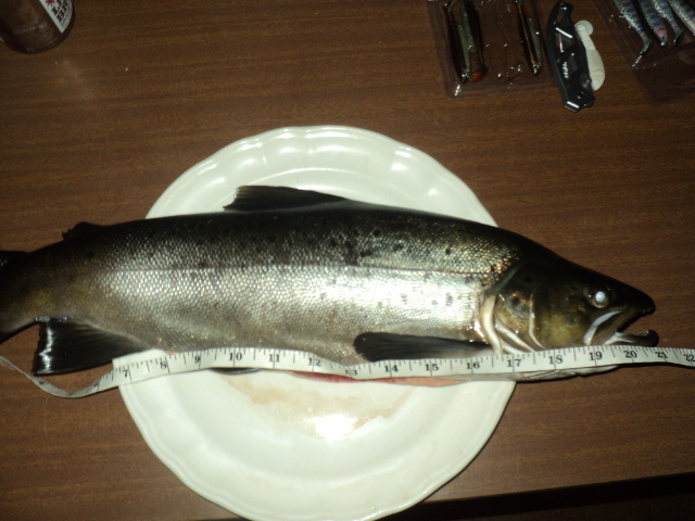 Name:  picture 01 400.jpg
Views: 201
Size:  164.0 KB