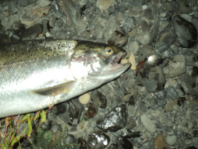Name:  picture 01 449.jpg
Views: 315
Size:  164.9 KB