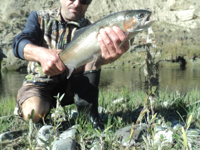Name:  picture 01 625.jpg
Views: 247
Size:  165.1 KB